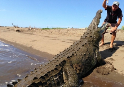 Хосе Едуардо Чавес Саласа годує з рук крокодила на березі річки Тарколес (Tarcoles) в Коста-Ріці. Фото: Barcroft Media