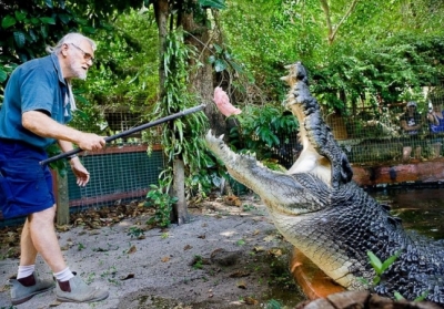 День народження найбільшого в світі крокодила (фото)
