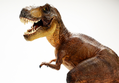 В Аргентині знайдено рештки динозавра вагою як кіт