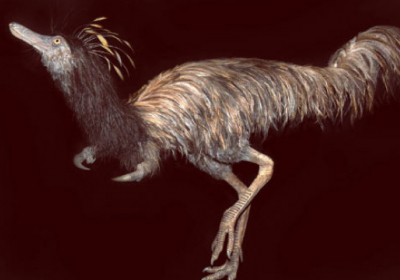У США виявили лапи динозавра з одним кігтем
