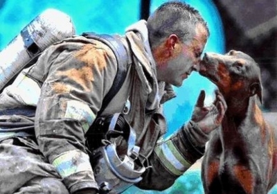 Лапи, які рятували життя: собаки-герої у боротьбі із терактом 11 вересня