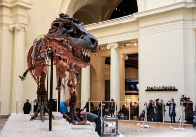 Вчені підрахували, скільки тиранозаврів ходило Землею за всю історію: в середньому 2,5 млрд