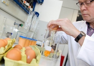 У Німеччині в курячих яйцях знову знайшли діоксин