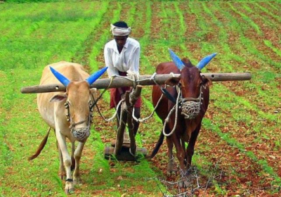 В Индии десятки тысяч фермеров протестуют из-за 