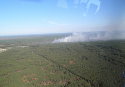 Пожежу в Чорнобильській зоні ліквідовано