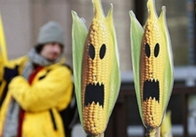 Уряд хоче легалізувати ГМО-насіння
