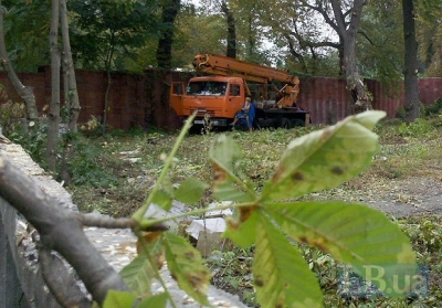 Поблизу Київського зоопарку заради офісів та парковки вирубали майже всі дерева 