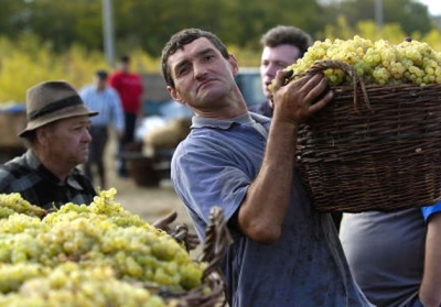 В Росії перестали вважати вино алкогольним напоєм
