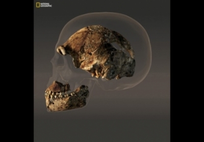 Череп Homo Naledi Фото: National Geographic