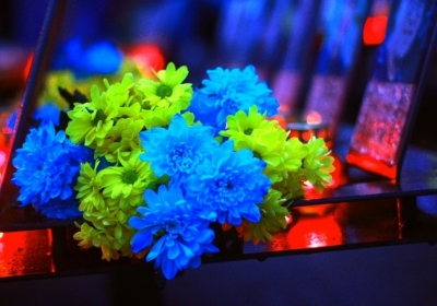 Годовщина Евромайдана: свечи, цветы, песни и... схватки – ФОТОРЕПОРТАЖ