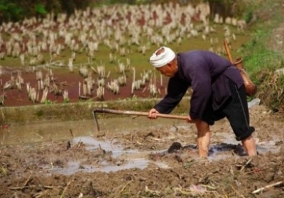 Забайкалье отдает Китаю на 50 лет сотни тысяч гектаров сельхозземель