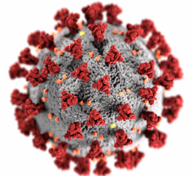 Молекула коронавируса