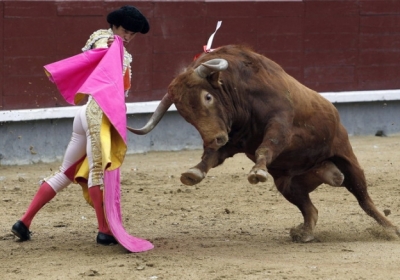 В Испании бык убил матадора