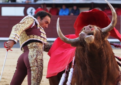 Кровавое поражение: быки отправили в больницу всех матадоров на празднике в Мадриде