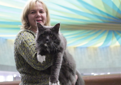В Киеве выбрали самого большого кота Украине