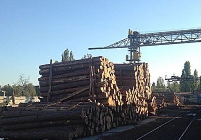 В Одессе правоохранители разоблачили канал незаконного экспорта леса, - ФОТО