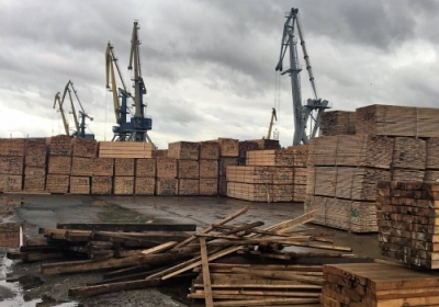 Из Украины в Турцию нелегально вывозили тысячи кубометров древесины, - ФОТО