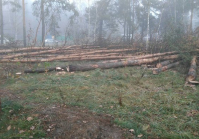 В Киеве начали вырубку леса возле станции метро 