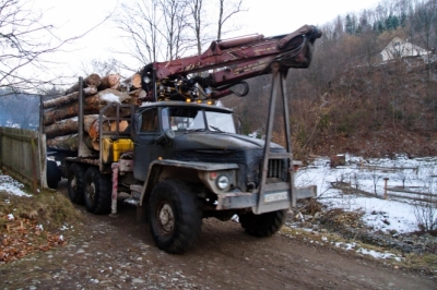 История дня: как одно из чудес Украины превратили в дорогу для вывоза леса
