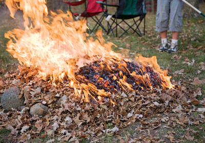 В Украине хотят повысить штрафы за сжигание стерни и листьев в 18 раз