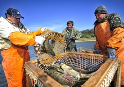 Росія скасувала заборону на імпорт лосося, картоплі і цибулі з ЄС