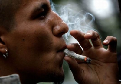 Наркоконтроль собрался разрешить марихуану в Украине