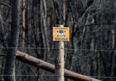 На противопехотной мине возле Станицы Луганской подорвалась женщина, - Москаль