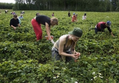 Почти 200 работников из Западной Украины попали в рабство в Великобритании