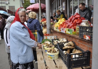 Влада Криму оподаткувала гриби, ягоди та прогулянки 