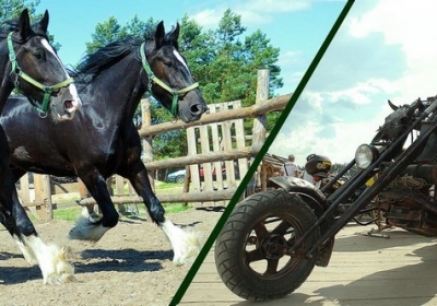 В Древнем Киеве сравнят лошадей – живых и стальных