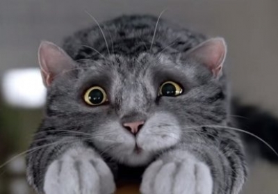 Різдвяний мультфільм про кішку-невдаху зібрав 8 млн переглядів, - ВІДЕО