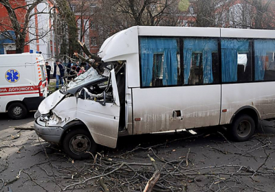 В Николаеве дерево упало на маршрутку, госпитализированы двое детей и взрослый