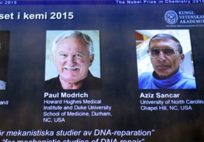 Нобелевскую премию по химии вручили за восстановление ДНК