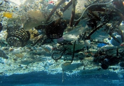 До 2025 года на каждые три тонны рыбы в океанах будет приходиться одна тонна пластикового мусора