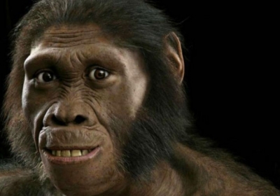 Вчені змогли реконструювати зовнішній вигляд Australopithecus sediba.Фото: John Gurche