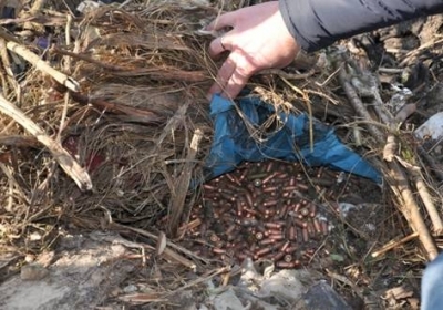 Поблизу Житомира правоохоронці виявили сховок з понад тисячею патронів