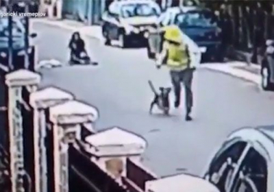 Бездомний пес не дозволив злодію пограбувати жінку на вулиці, - ВІДЕО
