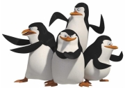 Пингвины из Мадагаскара. Фото:kinonews.ru