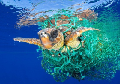 Пластика в океане в 20 лет может увеличиться втрое - ООН