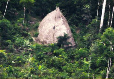 У лісах Амазонки зняли плем'я індіанців, яке раніше не вступало в контакт з цивілізацією
