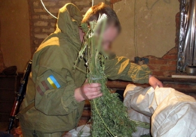 Поклоннику сепаратистского движения, который выращивал марихуану, грозит до 8 лет тюрьмы