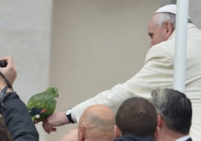 Папа Римский благословил попугая