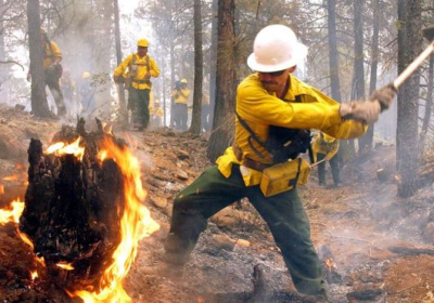 В США подростка оштрафовали на $37 млн ​​из-за лесного пожара