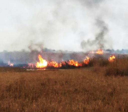 Браконьєри підпалили національний природний парк 