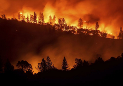 Лісові пожежі тепер палають і в Алжирі: четверо загиблих