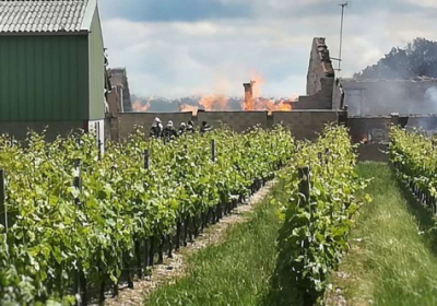 У Франції пожежа знищила 250 тисяч літрів коньяку