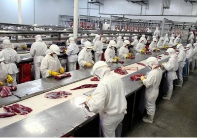 Україна скорочує виробництво м'яса