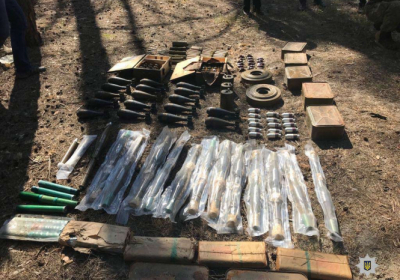 У Дніпрі в лісосмузі знайшли 30 мін і 280 гранат, - ФОТО

