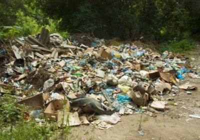 Верховная Рада увеличила штрафы за мусор в лесу