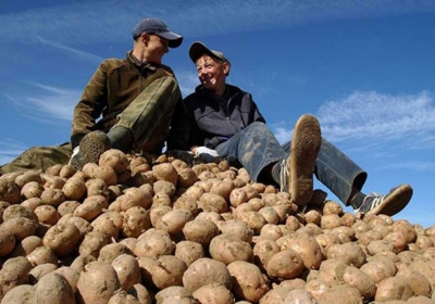 Росія відмовилась від української картоплі
